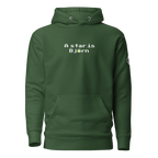 Hoodie - A star is Björn - Vert Euphron Store