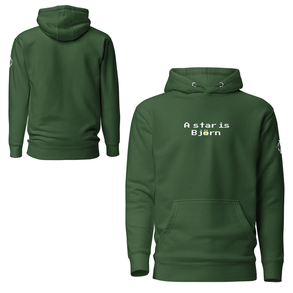 Hoodie - A star is Björn - Vert Euphron Store