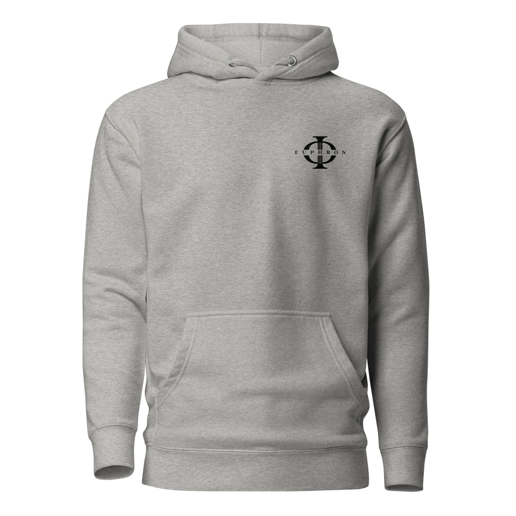 Hoodie Euphron « The Vitruvian Handball Goalkeeper », coloris gris : L'Homme de Vitruve de Léonard de Vinci en gardien de handball – vue de face